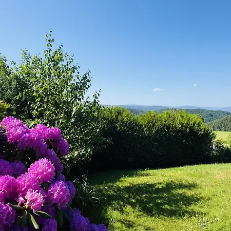 Stieler Haeusle - Mit Garten Und Weitblick Prázdninový dům